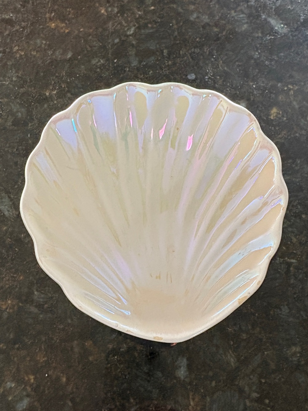 🤍 Rocky bear pet 🤍Shell Shaped Decorative Dish for cat food 🤍